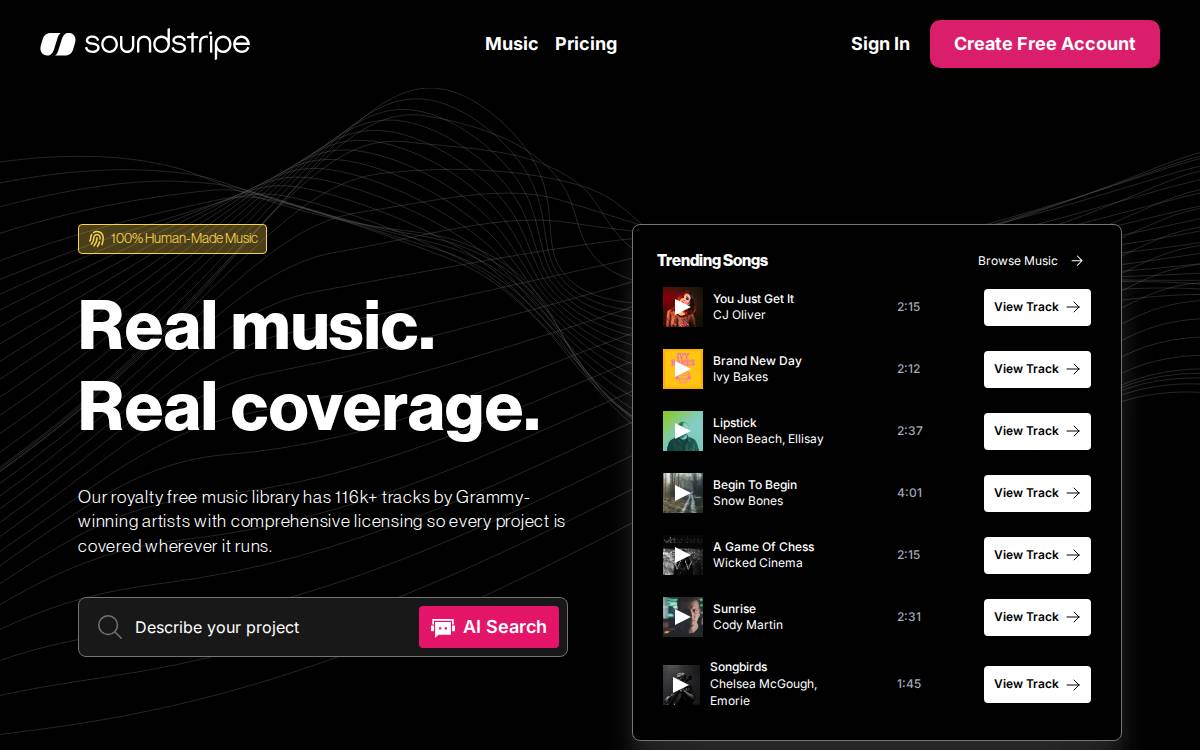 Soundstripe website preview