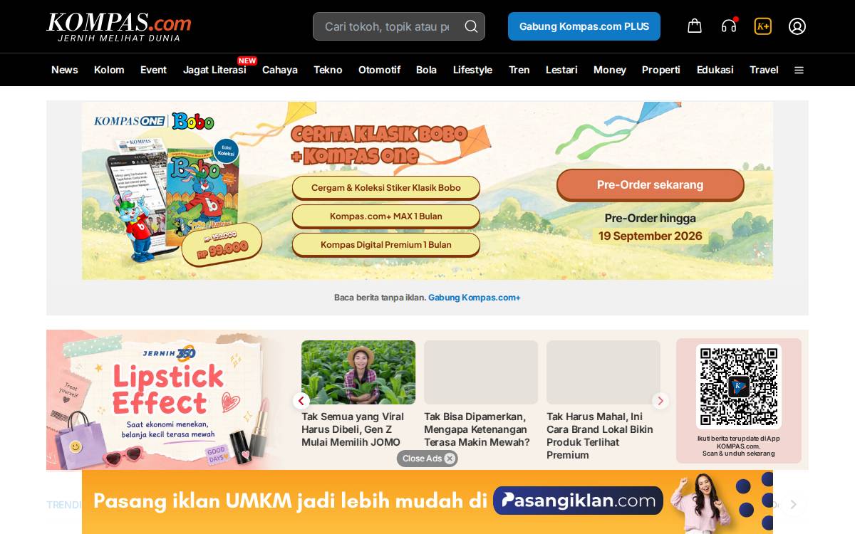 Source website preview