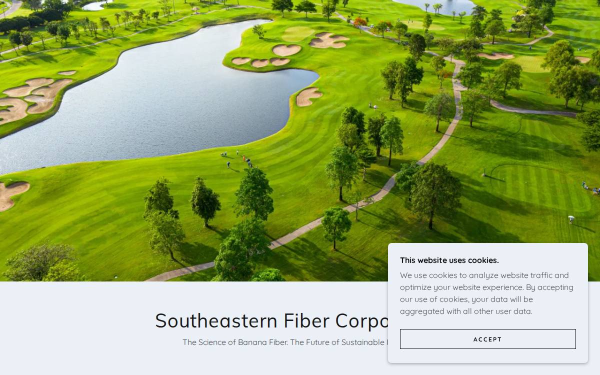 Southeastern Fiber website preview