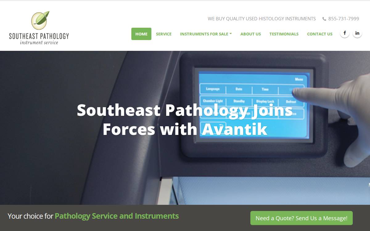 Southeast Pathology website preview