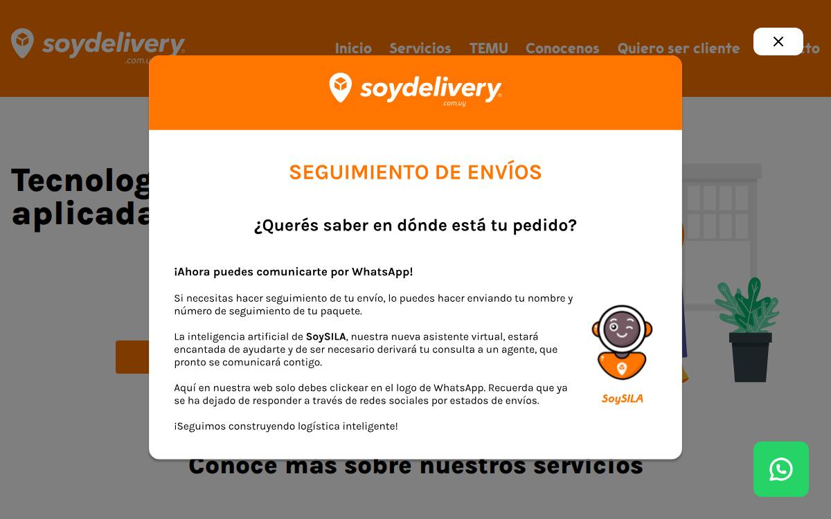 Soydelivery website preview