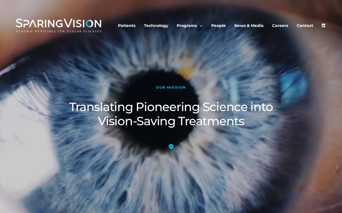 SparingVision’s website website preview