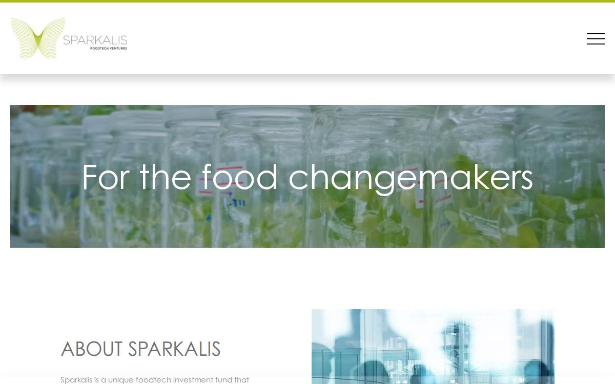 Sparkalis website preview
