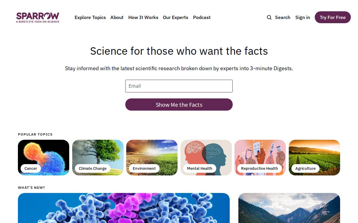 Sparrow website preview