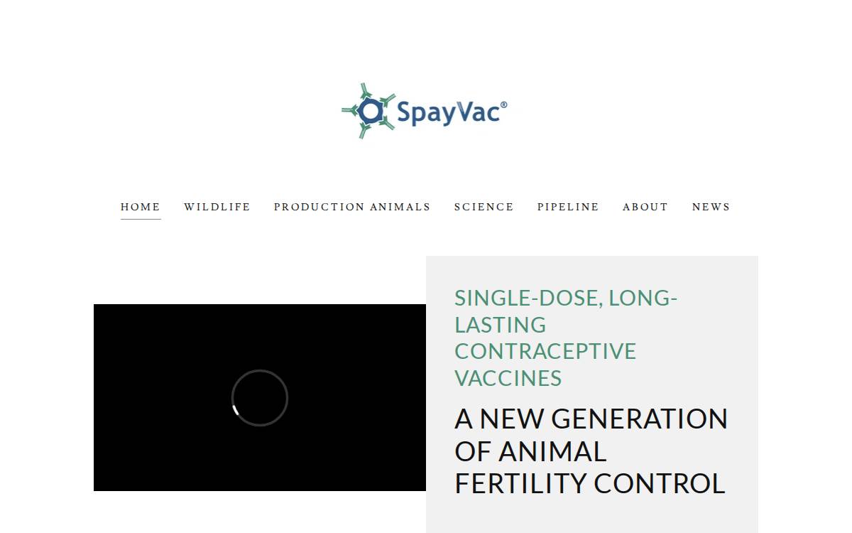 SpayVac website preview