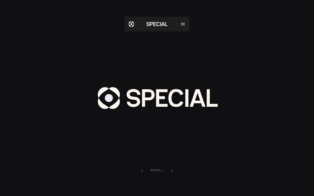Special website preview