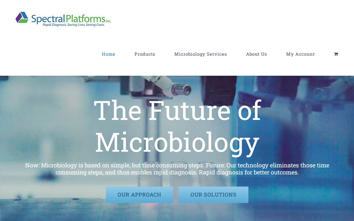 Spectral Platforms website preview