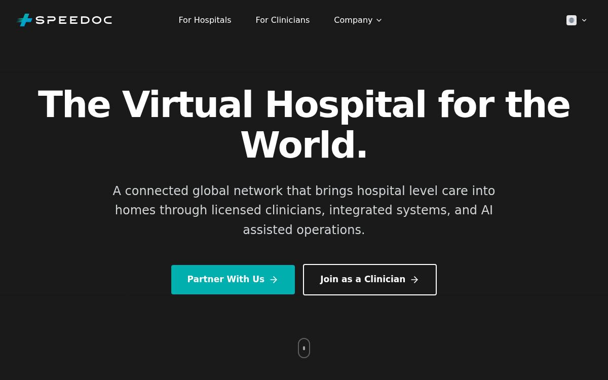 Speedoc website preview