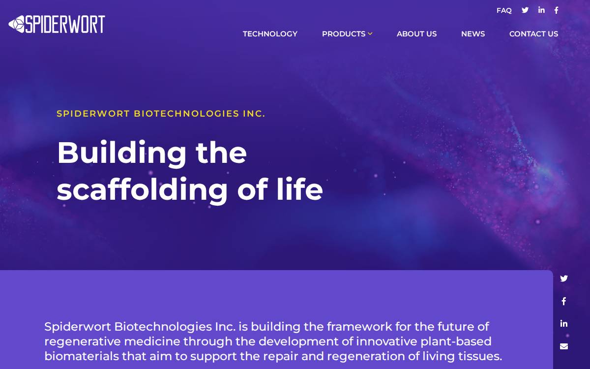 Spiderwort website preview