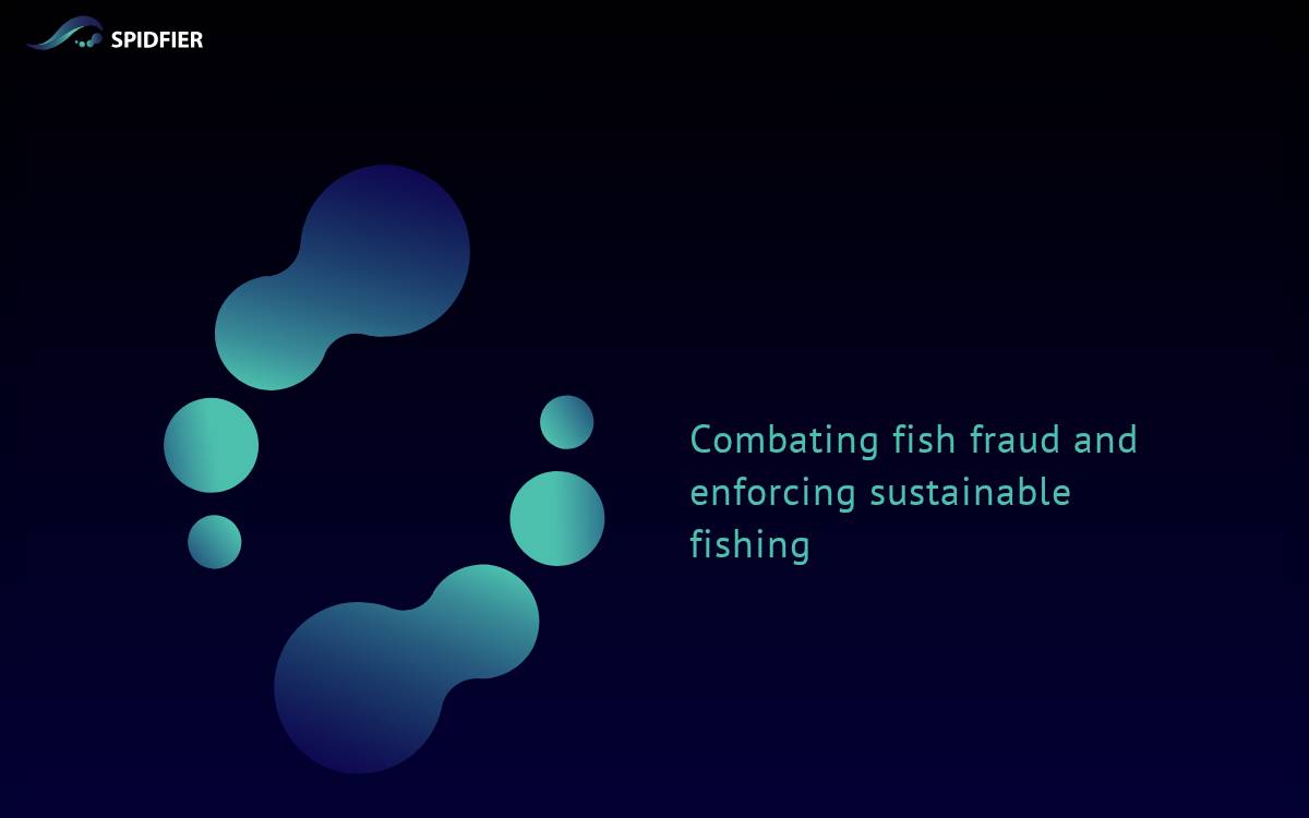 Spidfier website preview