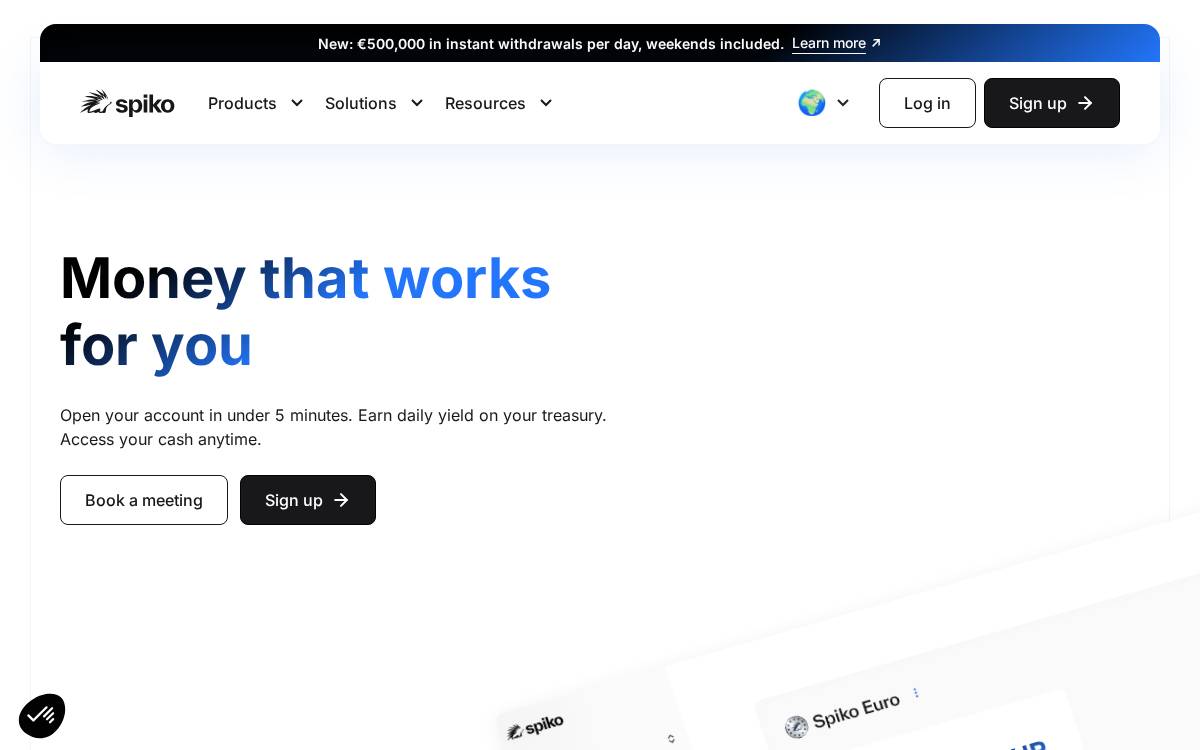 Spiko website preview