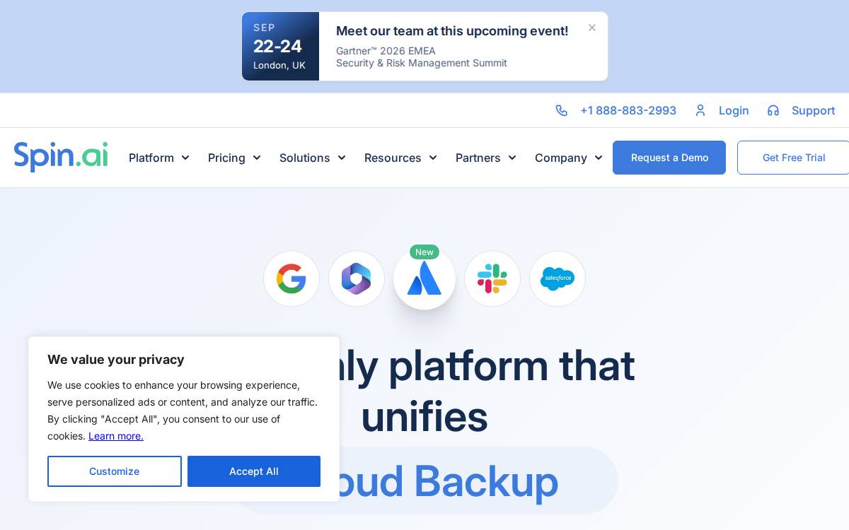 Spinbackup website preview