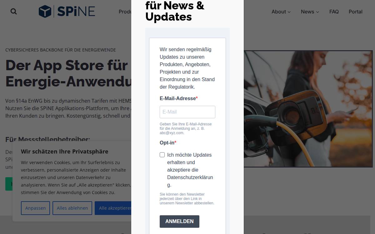 SPiNE website preview