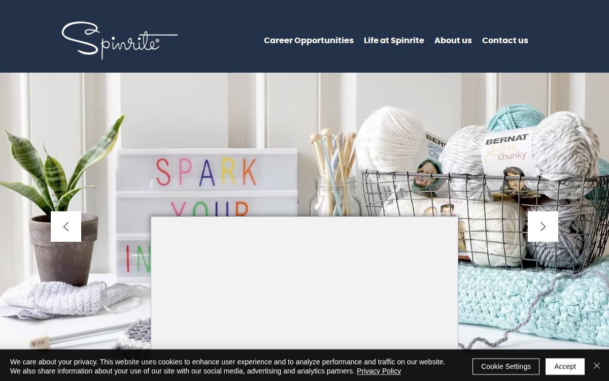 Spinrite website preview