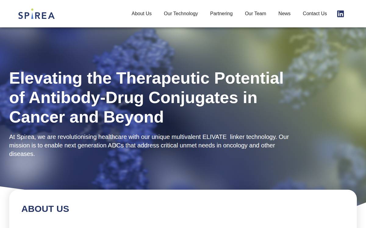 Spirea website preview