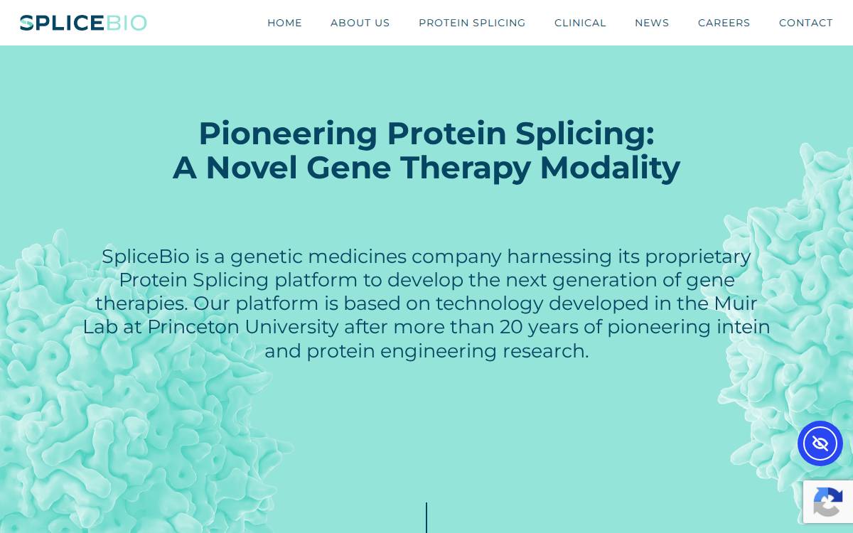 Splice Bio website preview