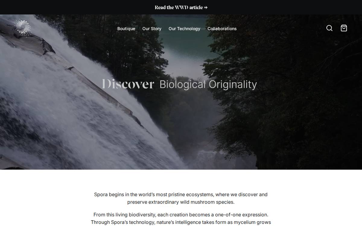 Spora website preview