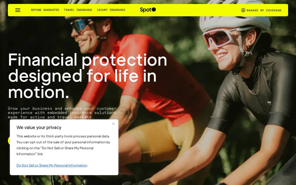 Spot website preview