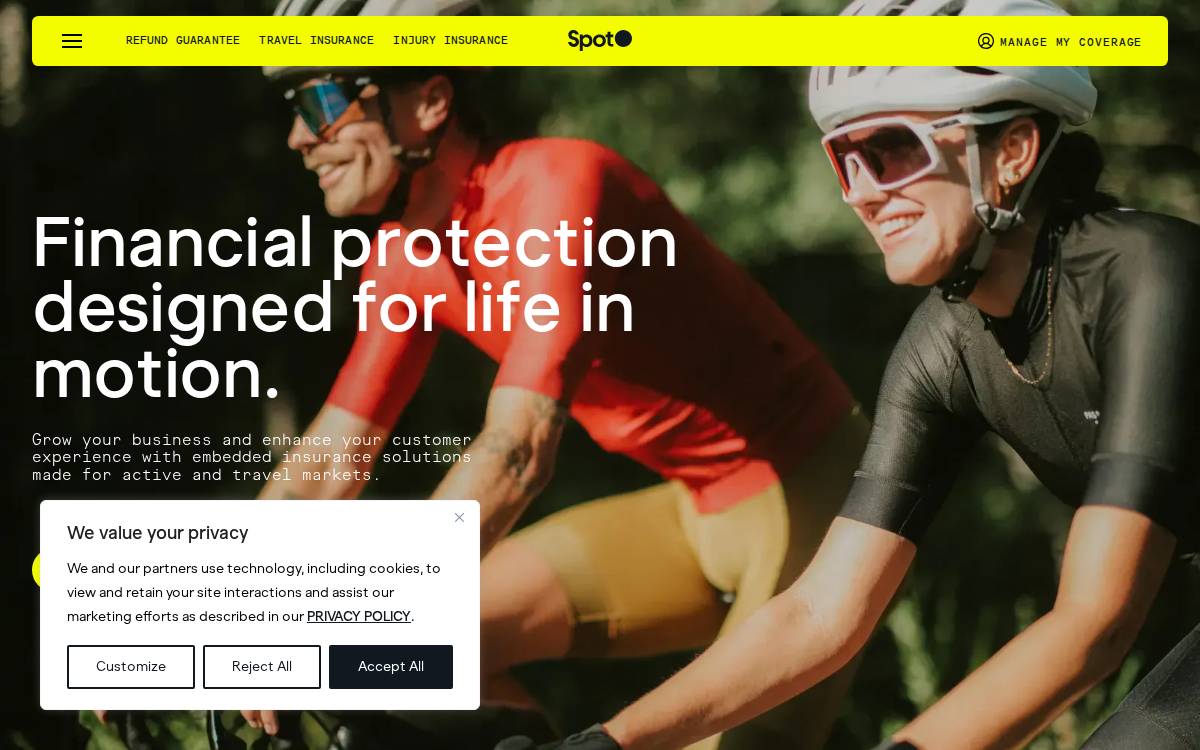 Spot website preview