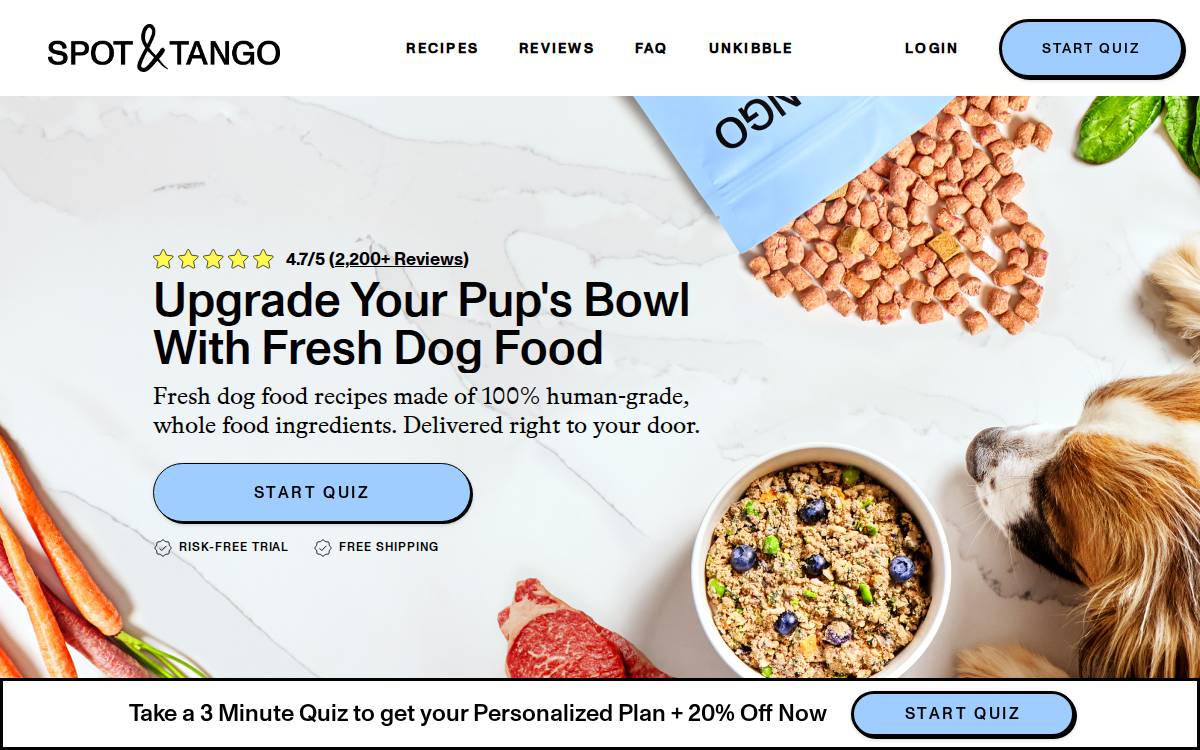 Spot & Tango website preview