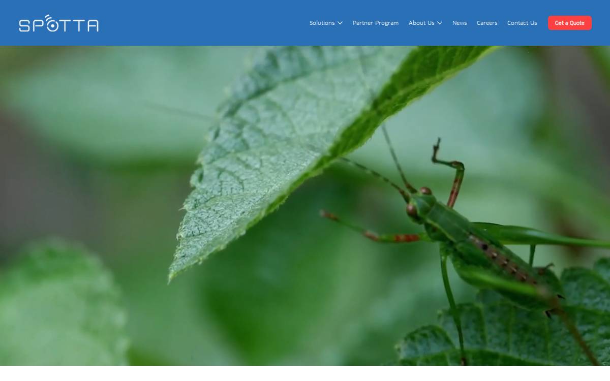 Spotta - company website preview