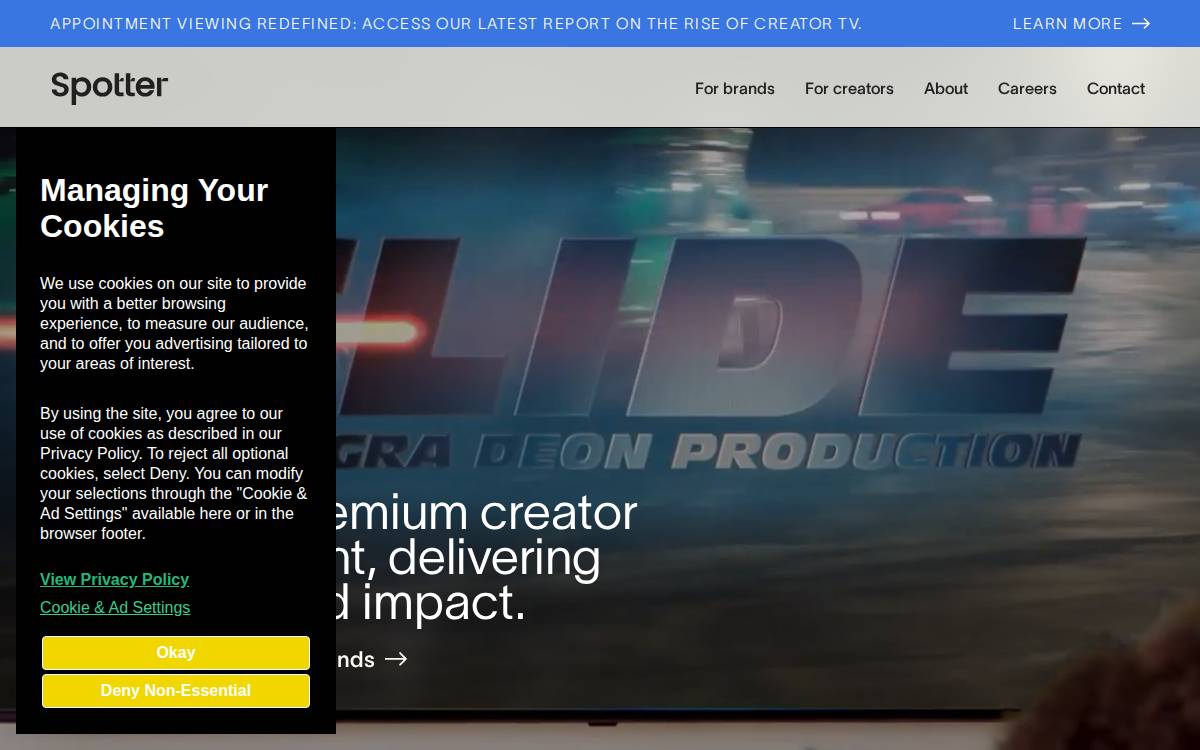 Spotter website preview