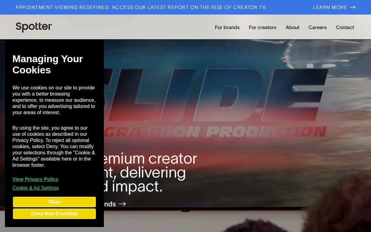 Spotter website preview