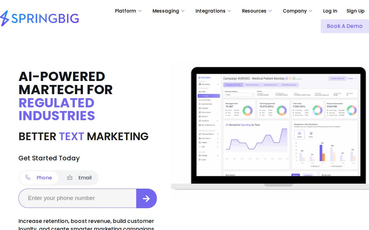 Springbig website preview