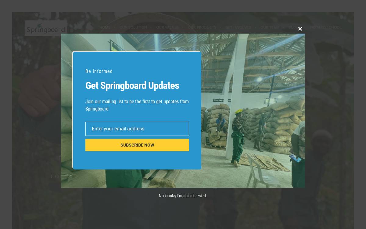 Springboard website preview