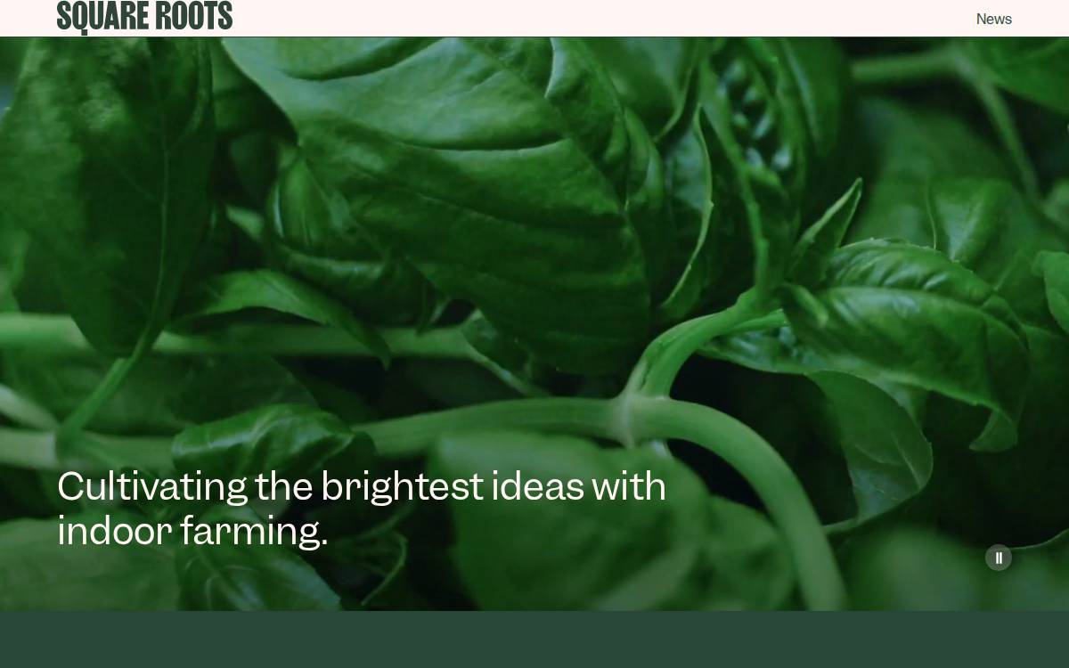 Square Roots website preview