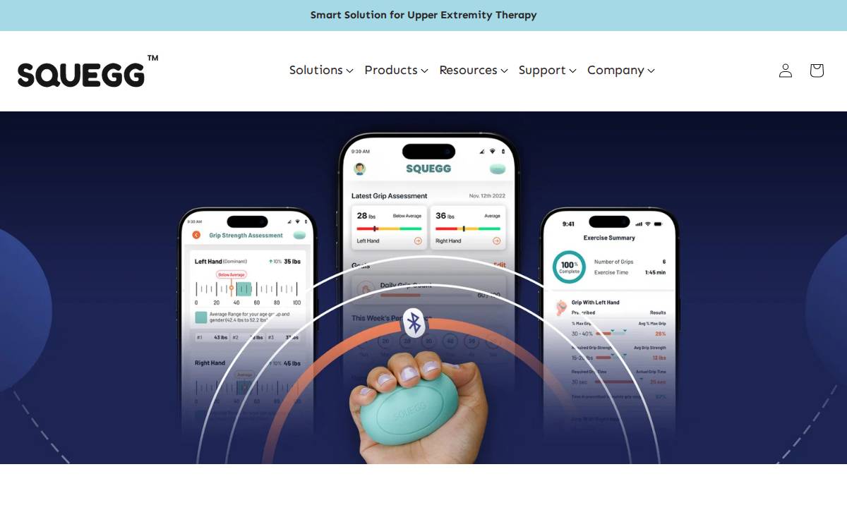 Squegg Inc. ACTIVE website preview