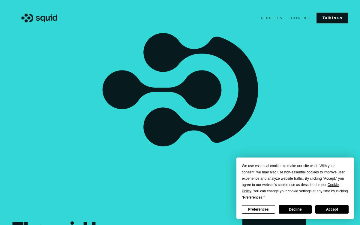 Squid website preview