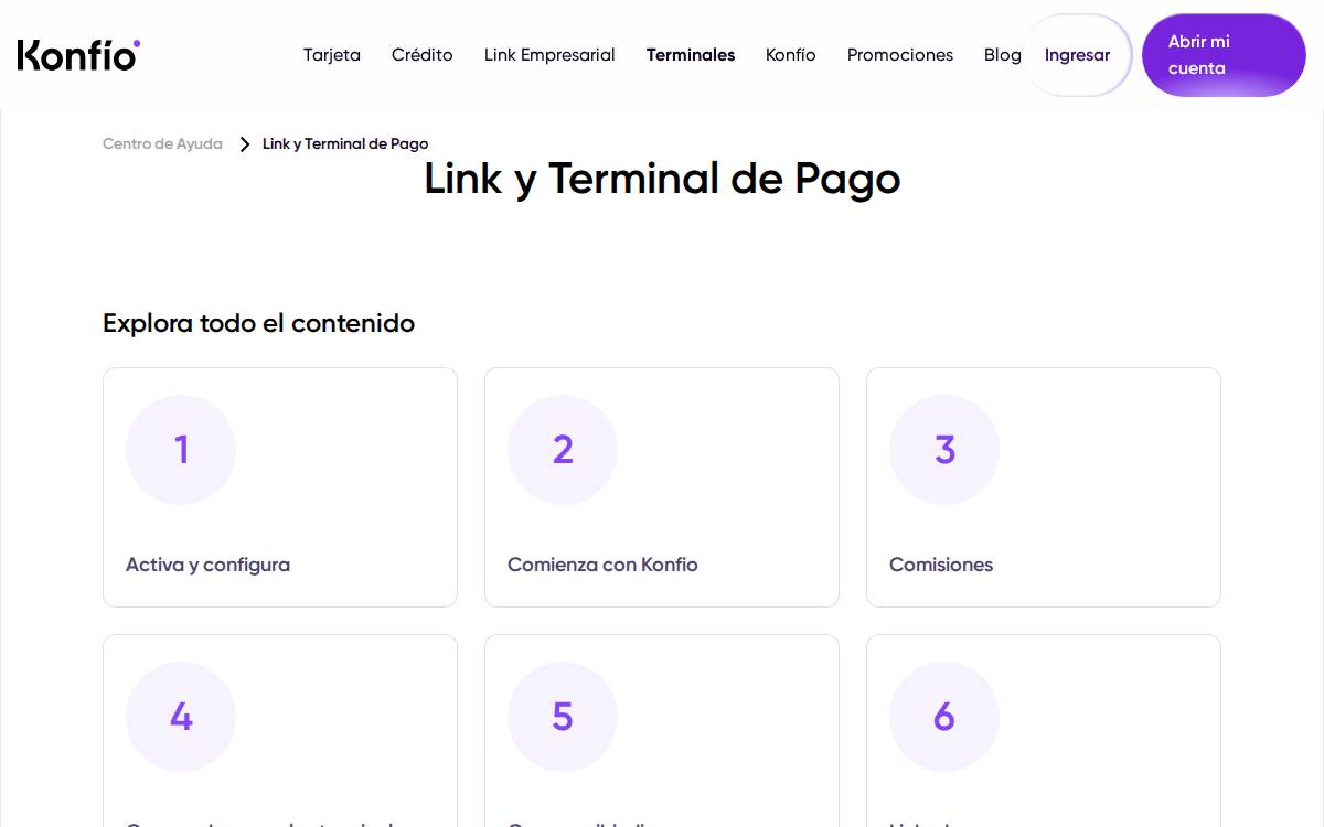 Sr. Pago website preview