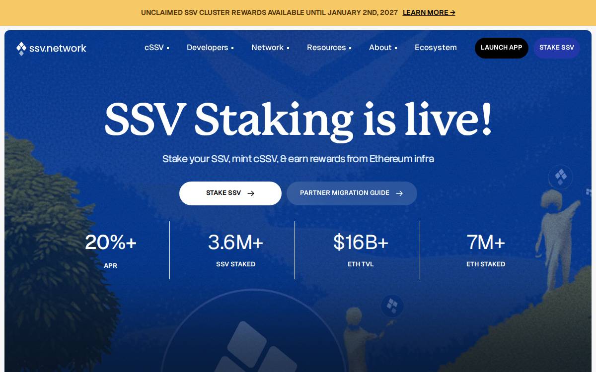 SSV website preview