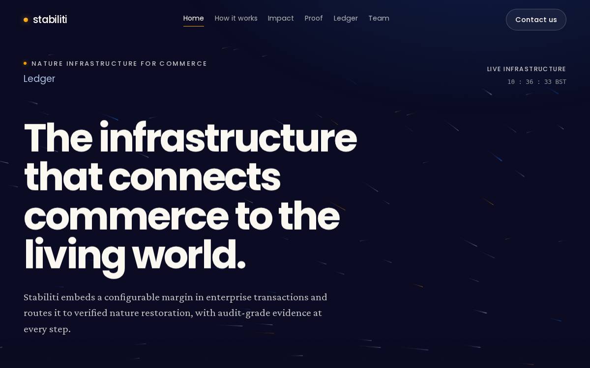 Stabiliti website preview