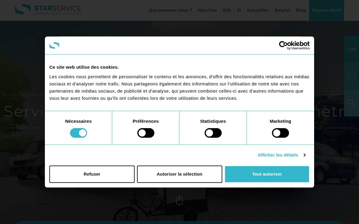Star Service website preview