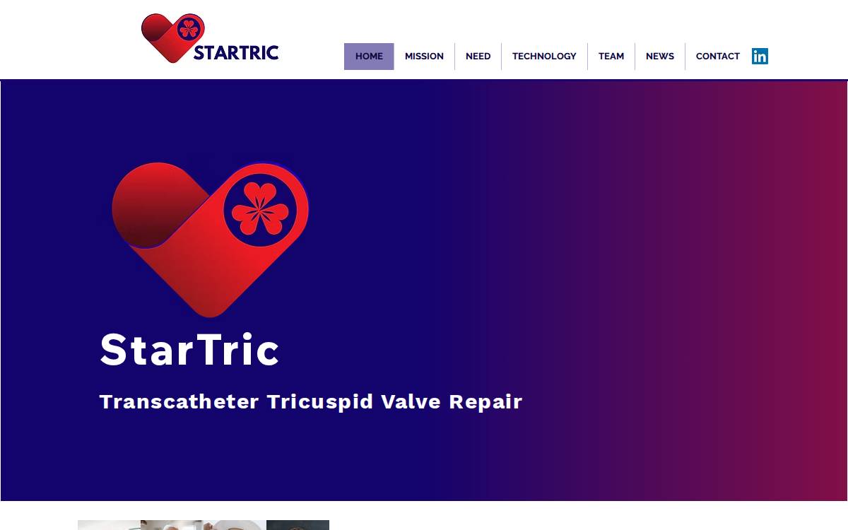 StarTric website preview