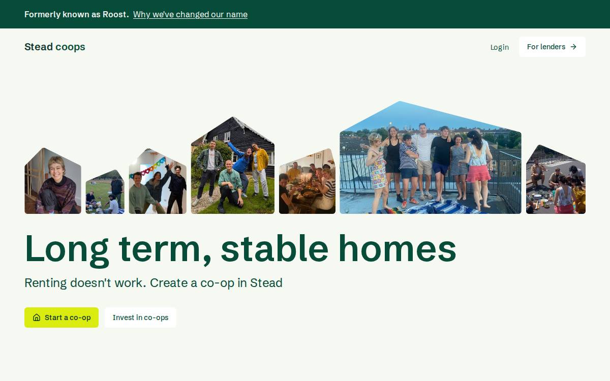 Stead website preview