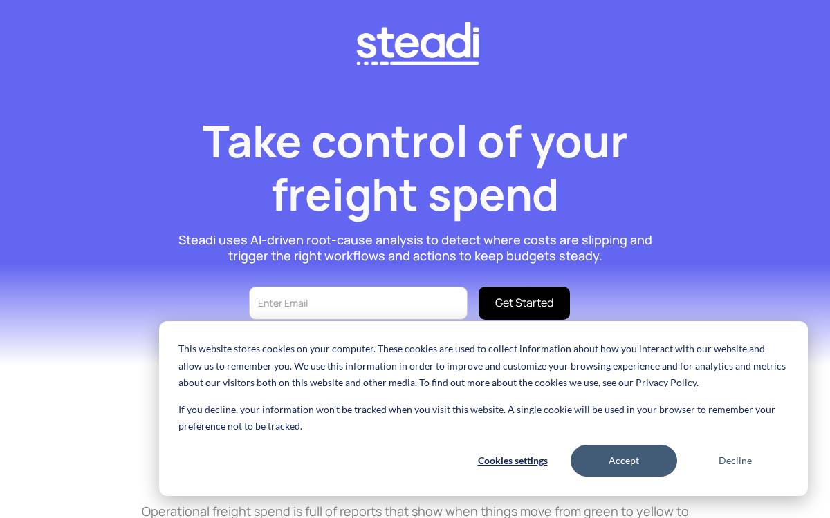 Steadi AI website preview