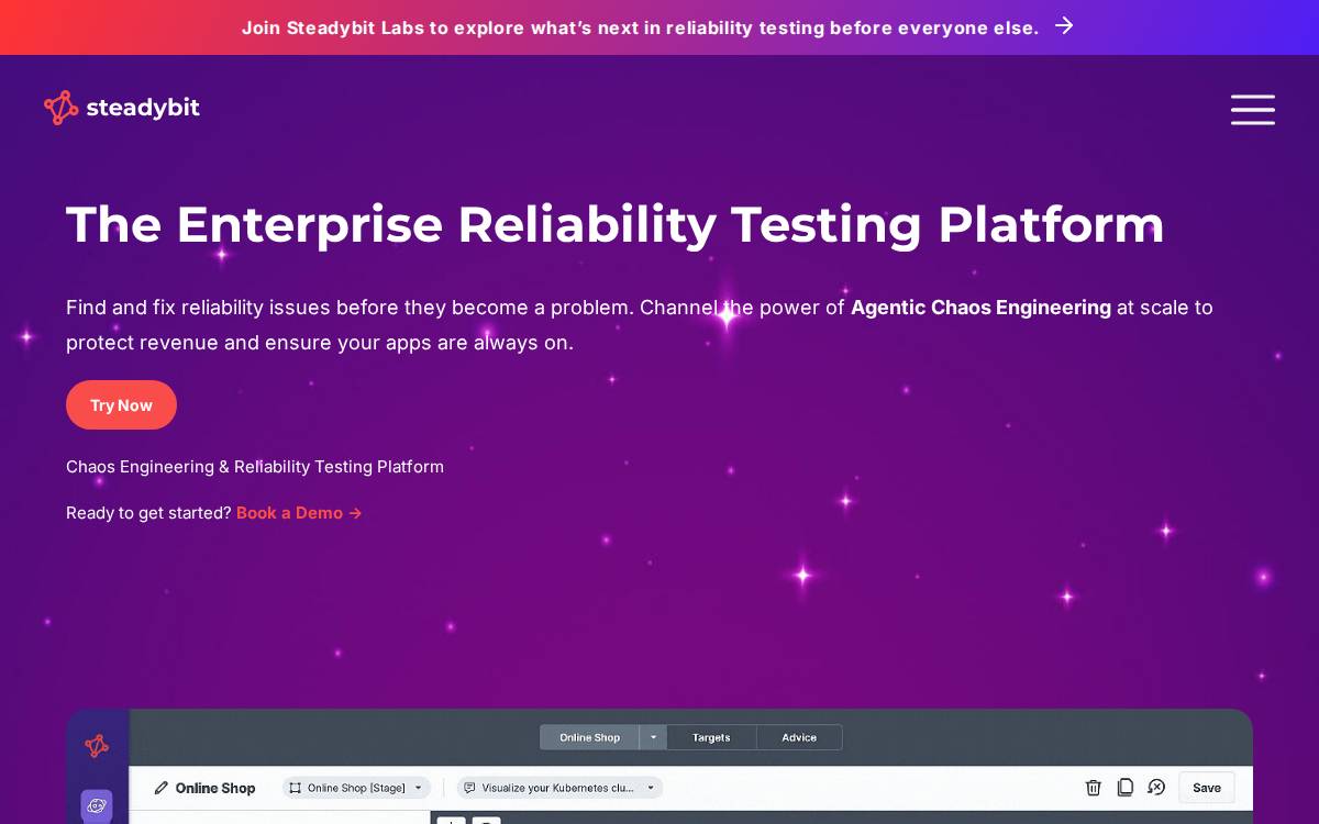 Steadybit website preview