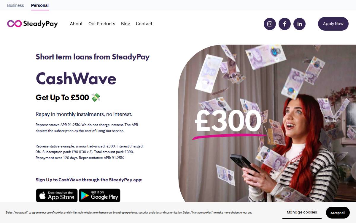 SteadyPay website preview