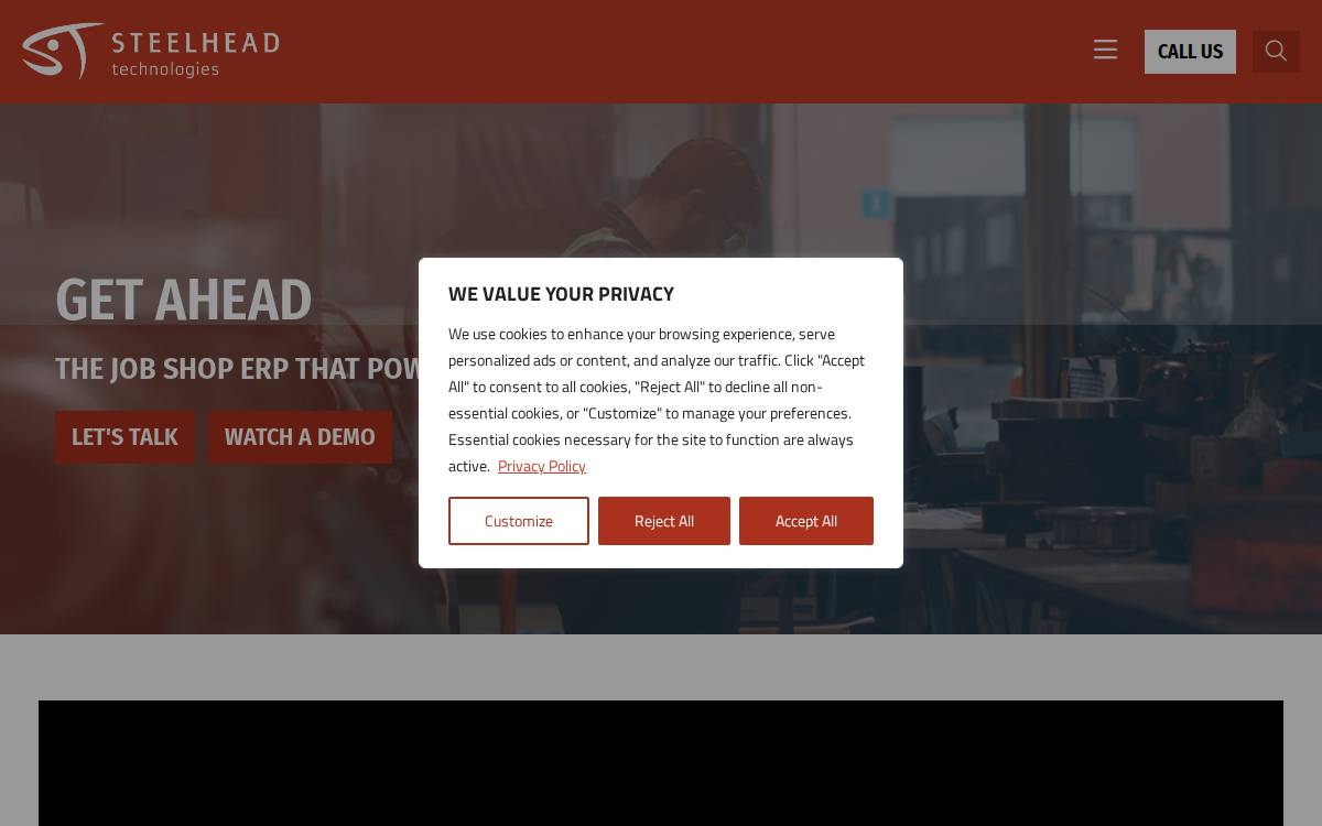 Steelhead Technologies website preview