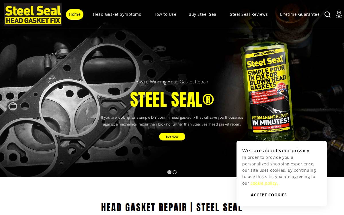SteelSeal website preview