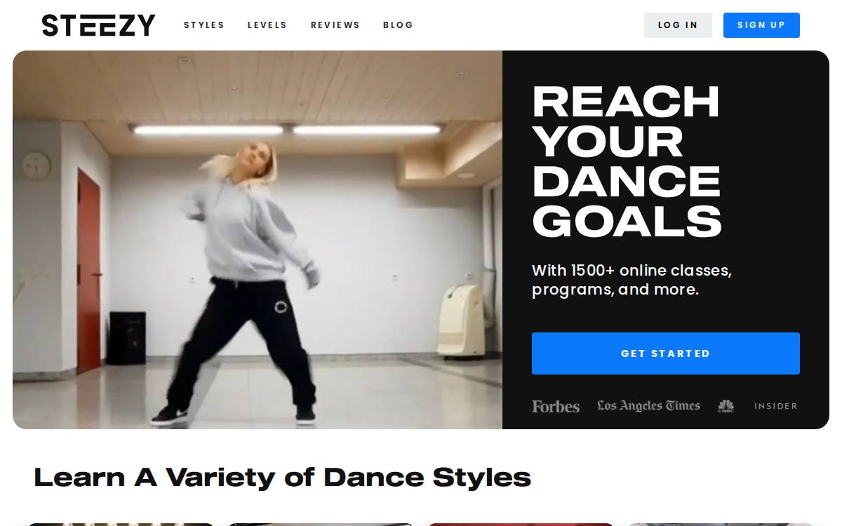 Steezy website preview