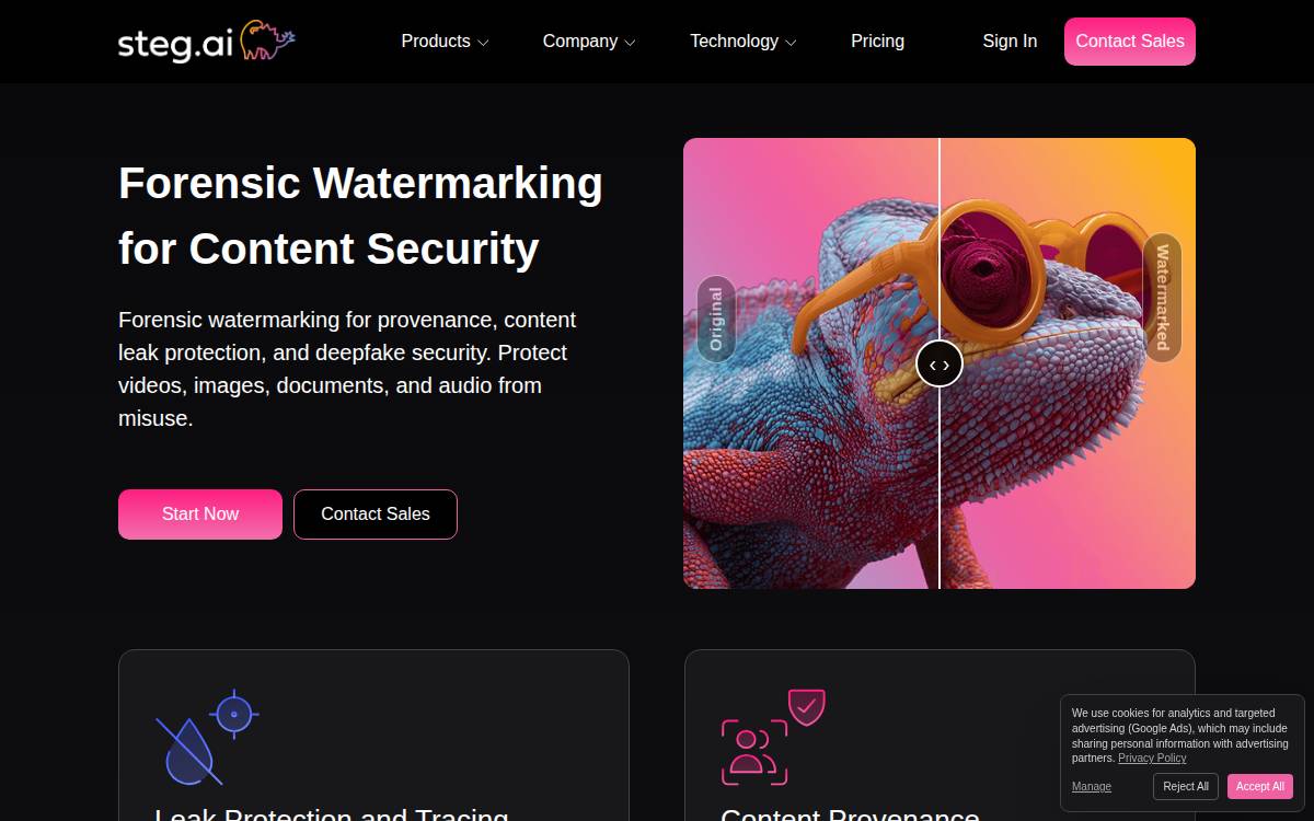 Steg AI Corporation website preview