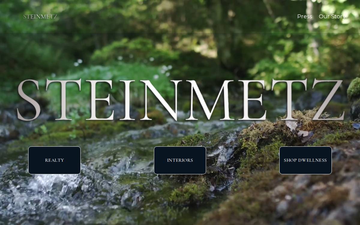 Steinmetz website preview