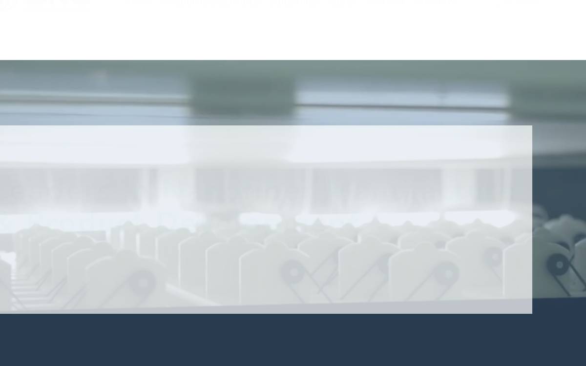 Stellenbosch Nanofiber Company website preview