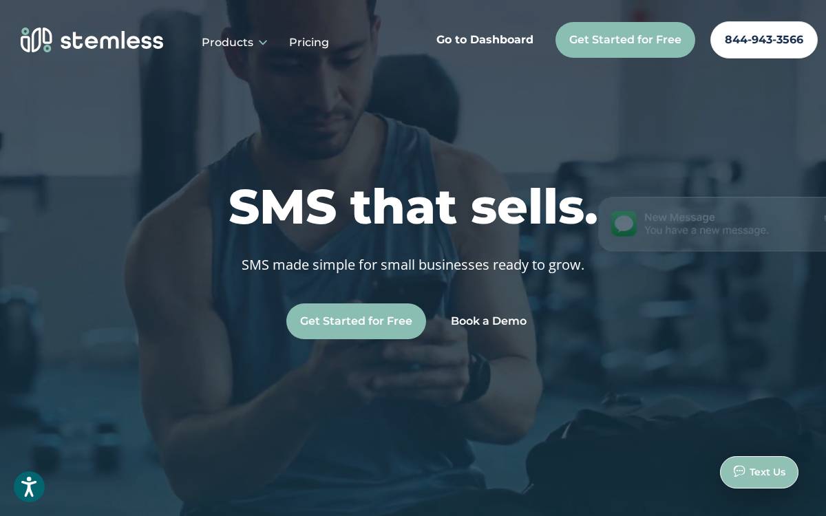 Stemless website preview