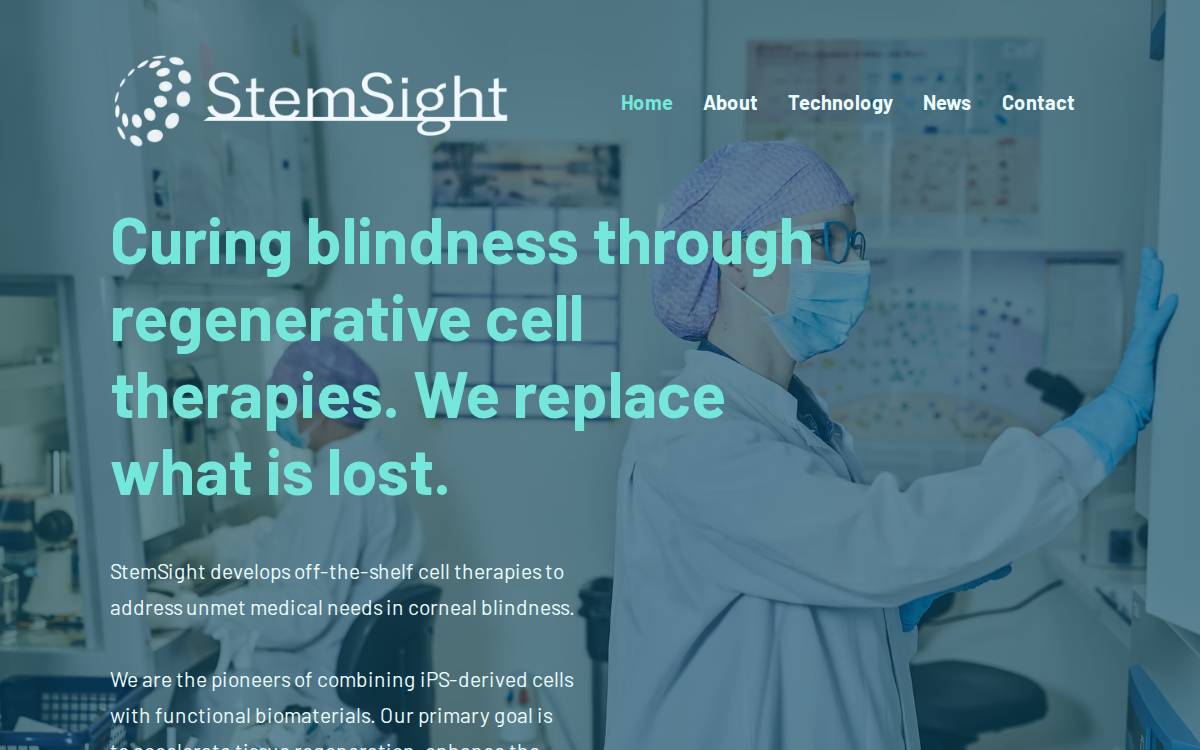 StemSight website preview