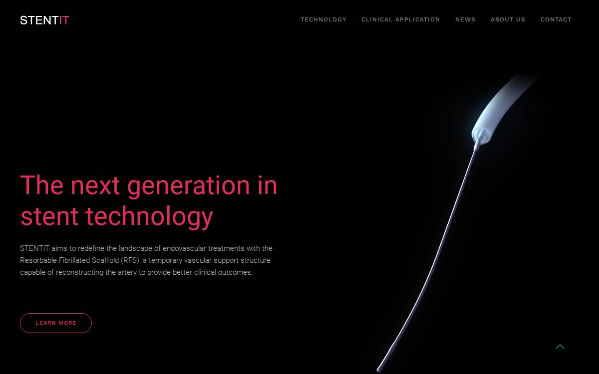 STENTIT website preview